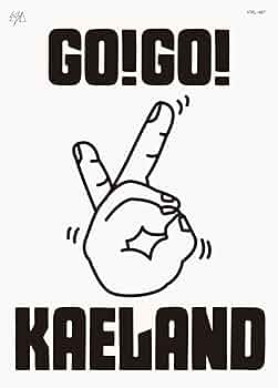 Amazon.co.jp: KAELA presents GO!GO!KAELAND 2024 -20years